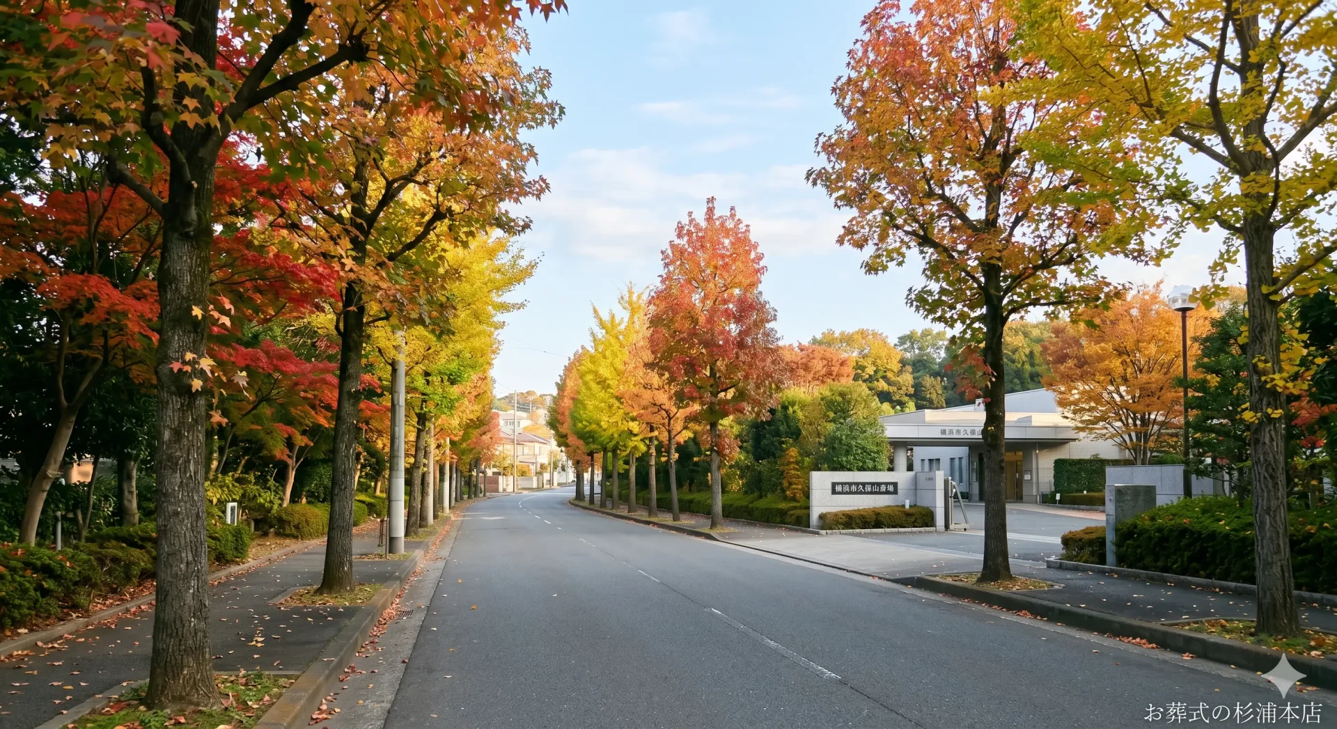 横浜市の公営火葬場へ向かう静かな並木道